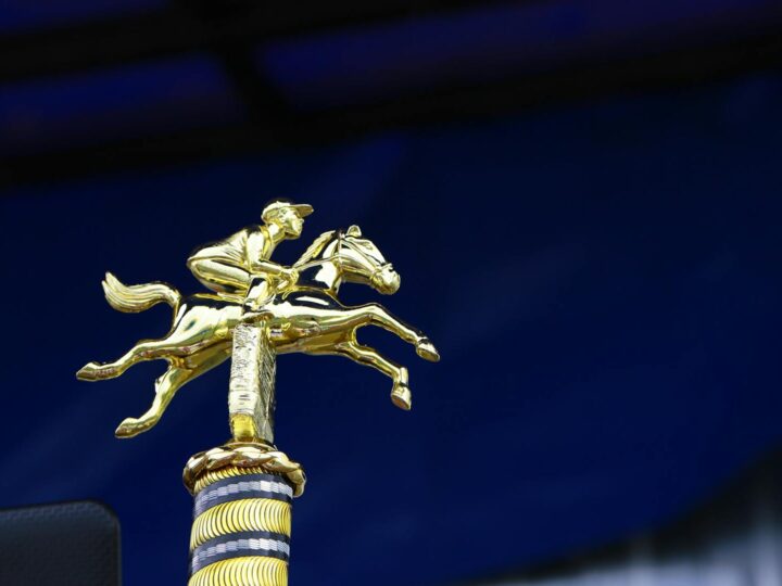 Cavaleiro Dourado